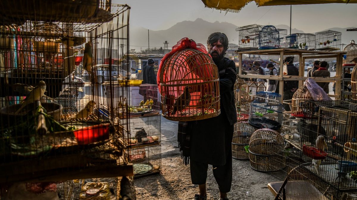 Fotky ze života prodavačů v zemi, kde lidé žijí za méně než 2 dolary na den